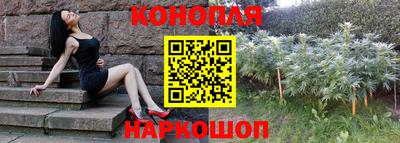 тгк Заводоуковск