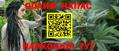 прущие грибы Жуковский