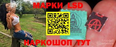 прущие грибы Жуковский