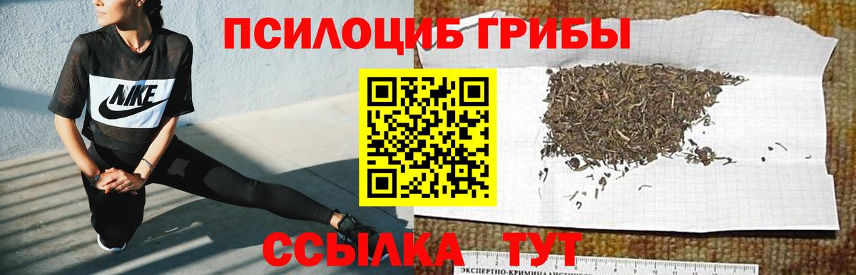 Галлюциногенные грибы Magic Shrooms Лесозаводск