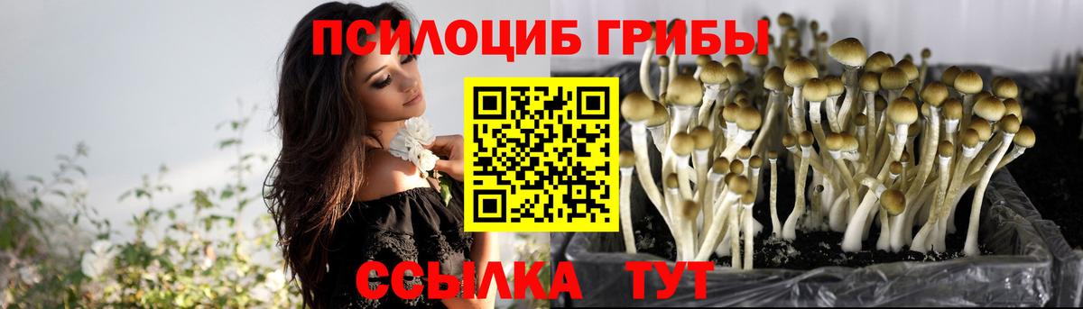 Лесозаводск  Псилоцибиновые грибы Psilocybine cubensis  Вход с VPN  хочу наркоту  Галлюциногенные грибы Magic Shrooms 